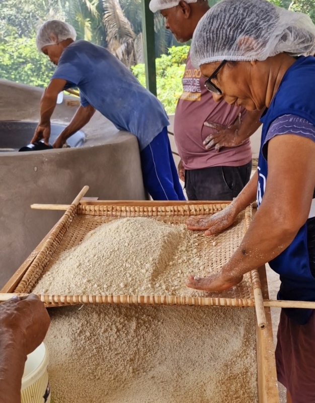 Prefeitura de São Luís realiza a 4ª edição do Festival da Farinha com produtores rurais, concursos e programação cultural.