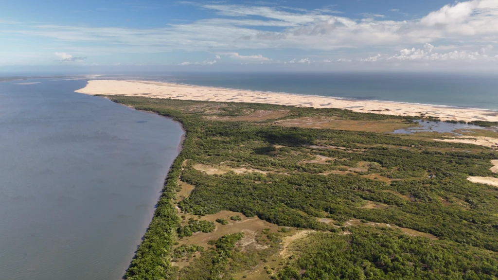 Comunidades denunciam bloqueio a mangues e igarapés na Ilha do Caju após chegada de empreendimento de luxo e projeto de “carbono azul”.
