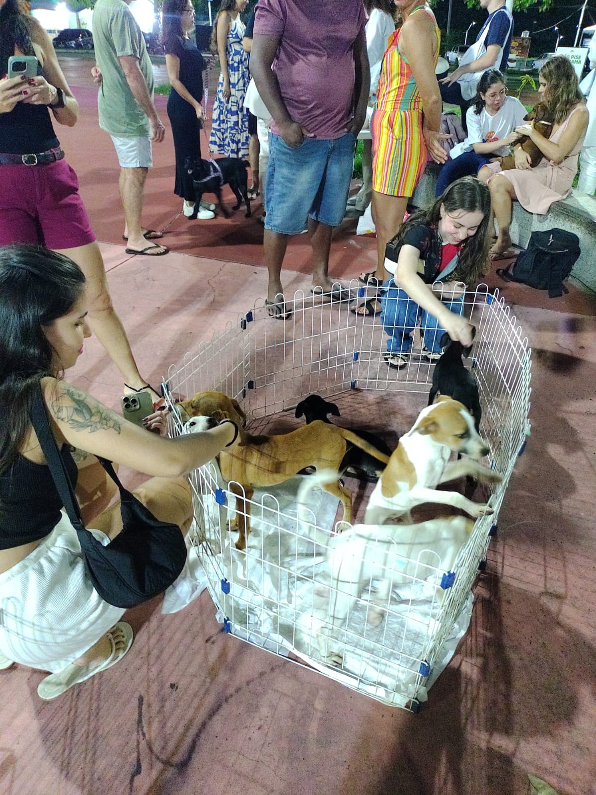Cuidar, adotar e empreender: “No Ritmo da Adoção” transforma amor em ação na Lagoa da Jansen 🐾💚
